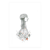 Anatomy (Print Only) thumbnail