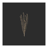 Delicate Fynbos Botanicals in Gold and Black - Square (Print Only) thumbnail