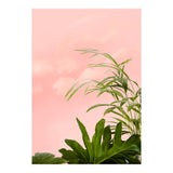 Minimal Botanical (Print Only) thumbnail