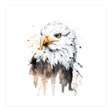 Bald Eagle - Wildlife Collection (Print Only) thumbnail