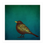Camouflage: The Blackbird (Print Only) thumbnail