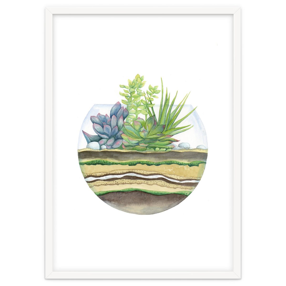 A Little Green Terrarium
