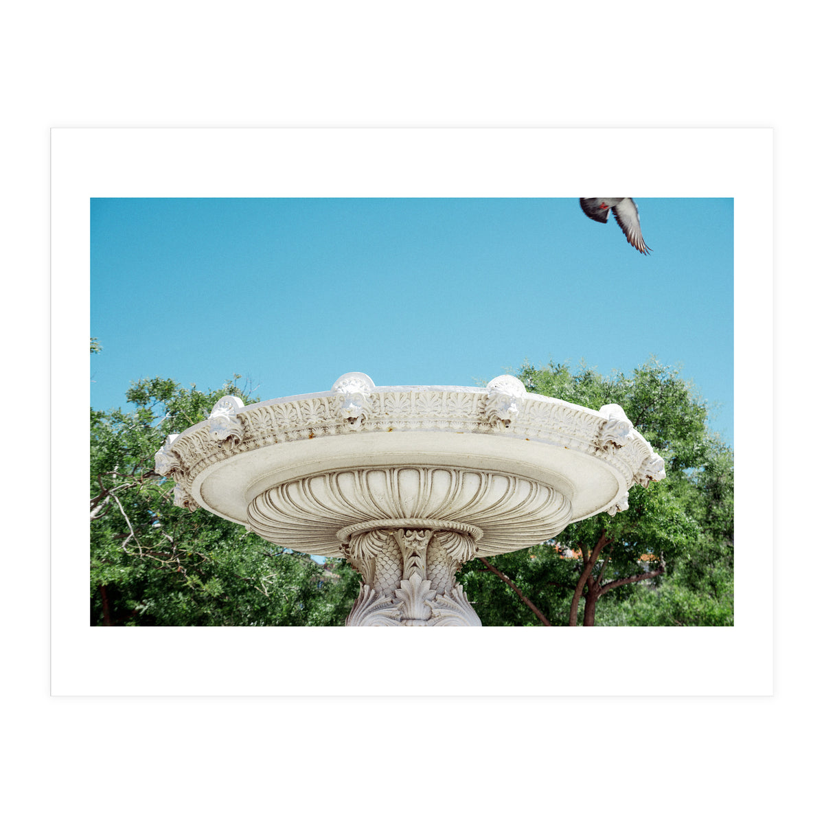 Holy Grail (Print Only)