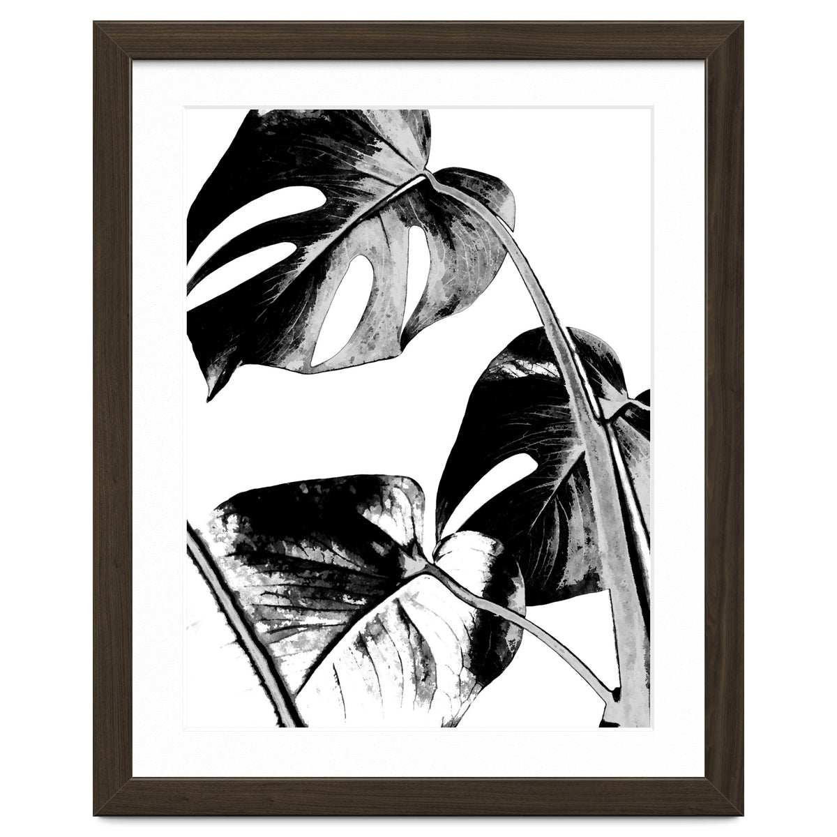 Black Tropical Leaves