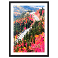 Valley of Pink Trees | Fantasy Pop of Color Forest Nature | Jungle Adventure Road Trip Pine