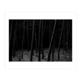 silent woods (Print Only) thumbnail