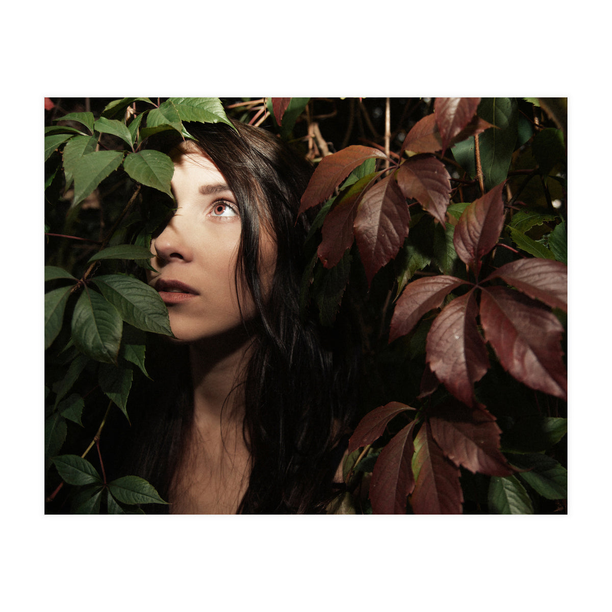 Autumn Portrait (Print Only)