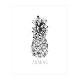 Ananas (Print Only) thumbnail