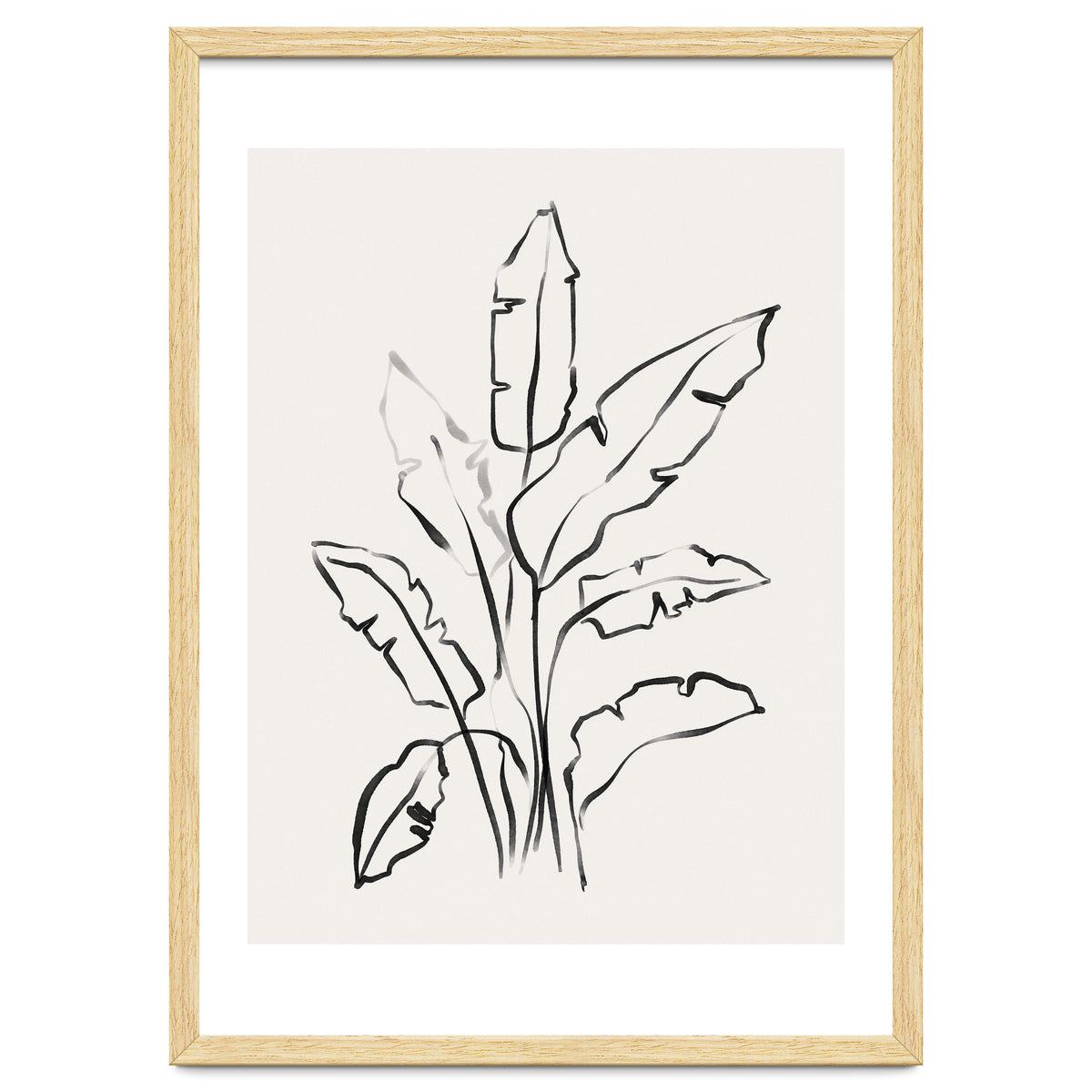 Banana Leafs Drawing