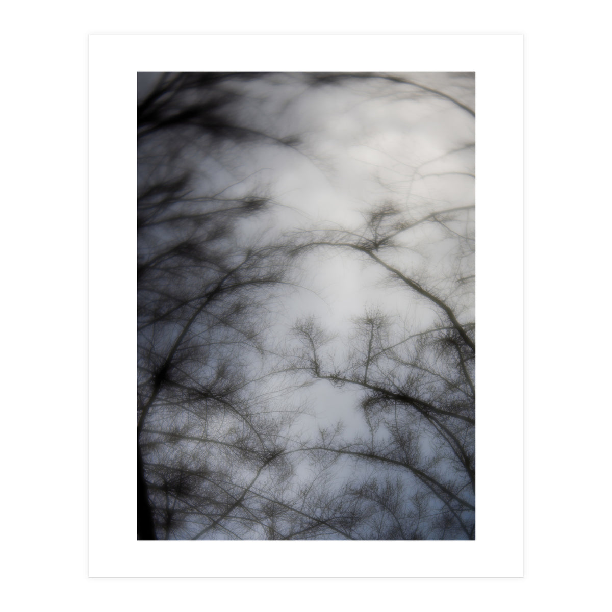 Forgotten Memories of Summer #16 (Print Only)