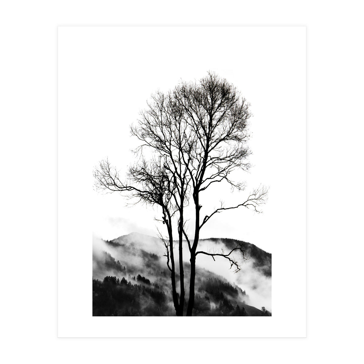 Rocky Mountains (Print Only)