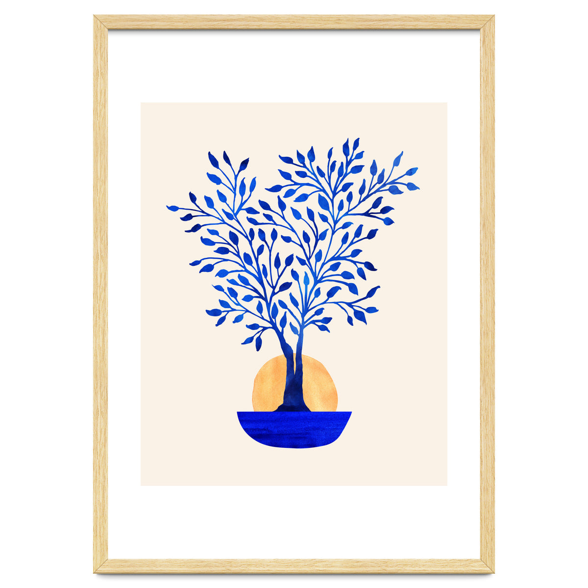 Indigo Ficus Sunrise