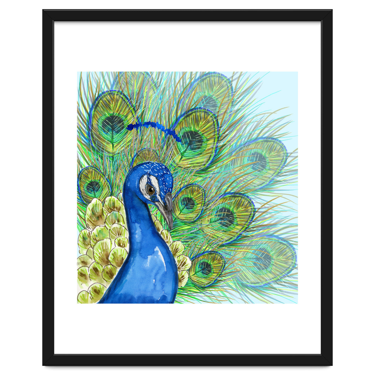 Peacock portrait
