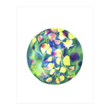 Vine Shadows (Print Only) thumbnail