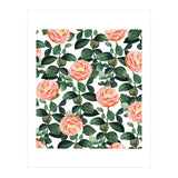 Josephine | Vintage Rose Garden Illustration | Bohemian Botanical Floral House Plants (Print Only) thumbnail