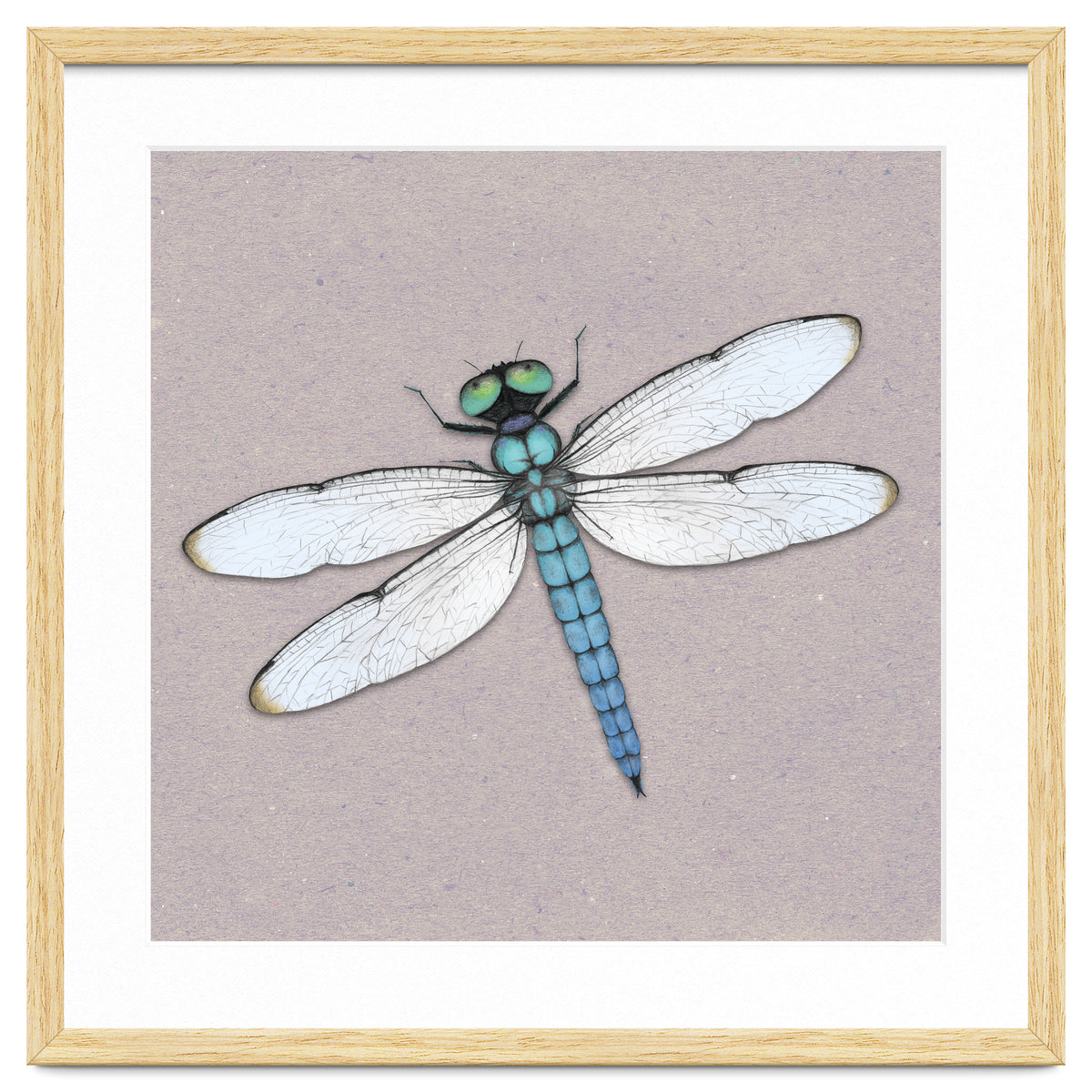 Blue dragonfly