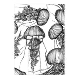 jellyfish (Print Only) thumbnail