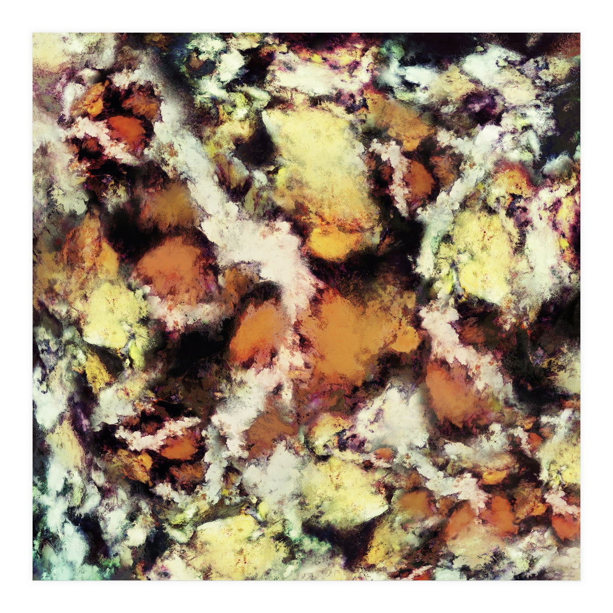 Fractured Viewpoint (Print Only)