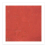 Red Barrier (Print Only) thumbnail