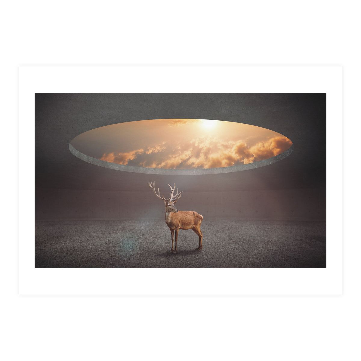 Display Ring (Print Only)