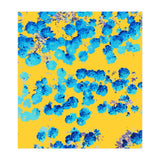Bananans & Blue (Print Only) thumbnail