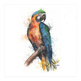 Parrot - Wildlife Collection (Print Only) thumbnail