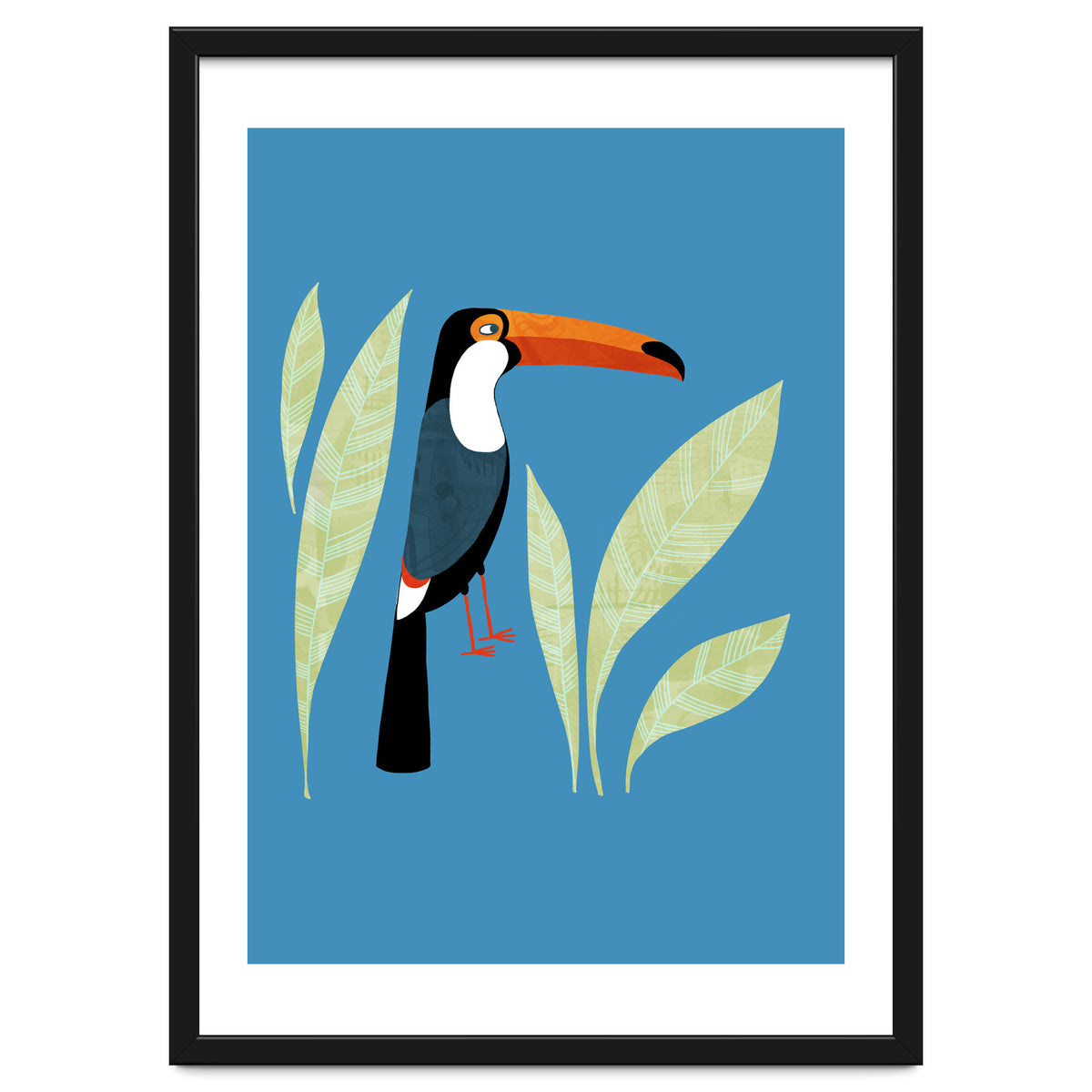 Toucan