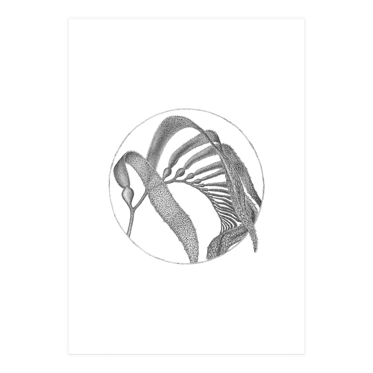 P.O. Blue Carbon (Print Only)