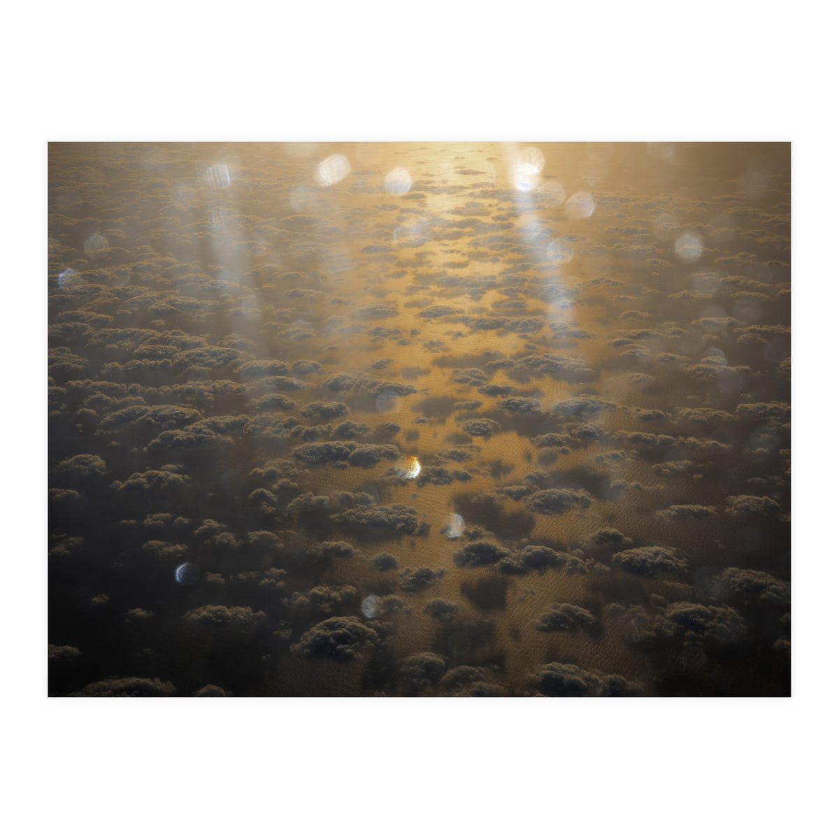 Rise & Shine (Print Only)