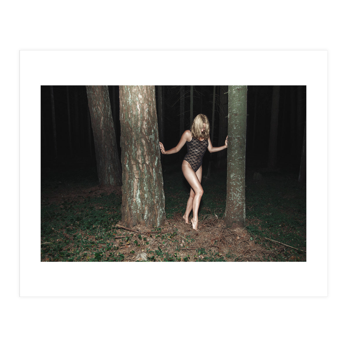 Camouflaged Animals (Print Only)