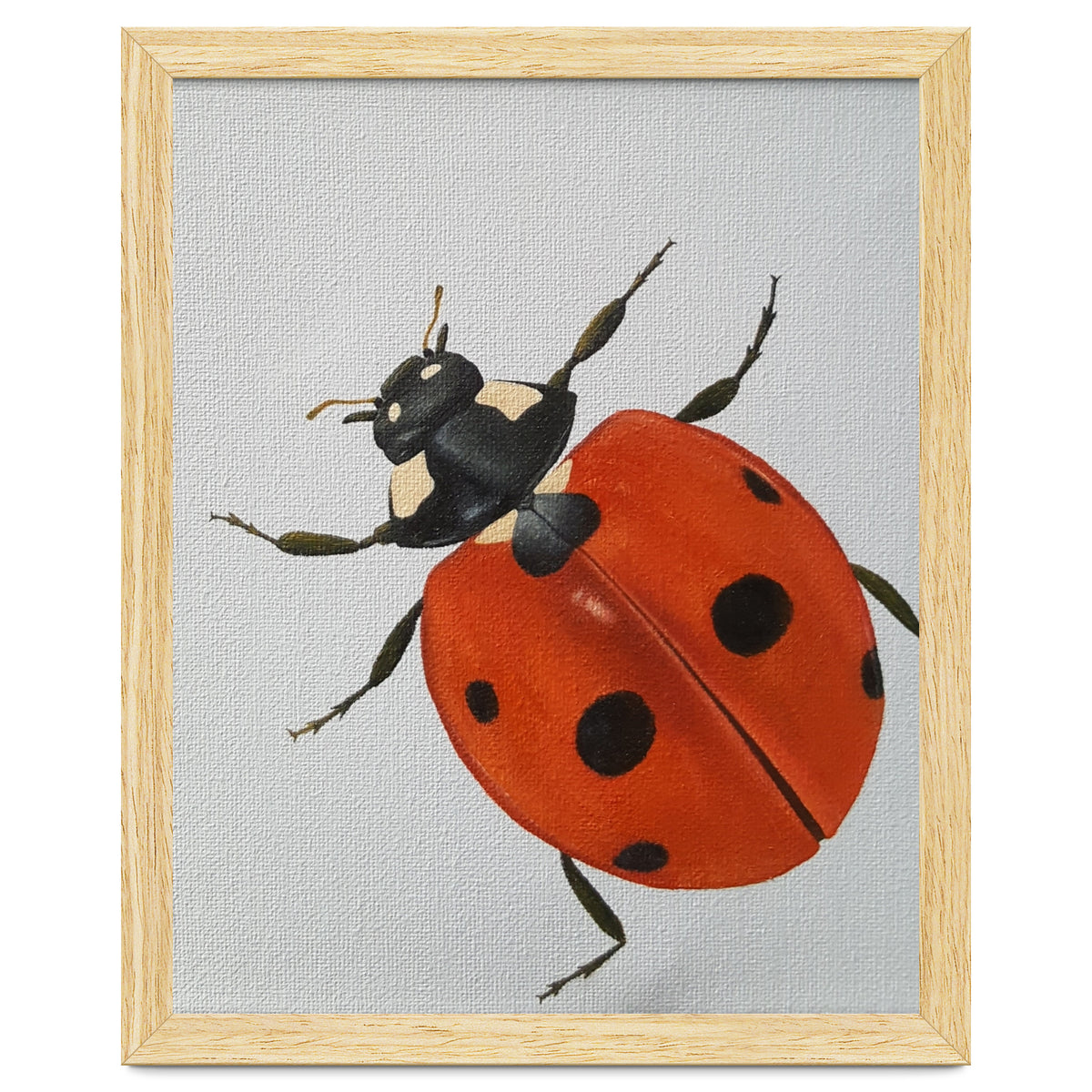 Ladybird