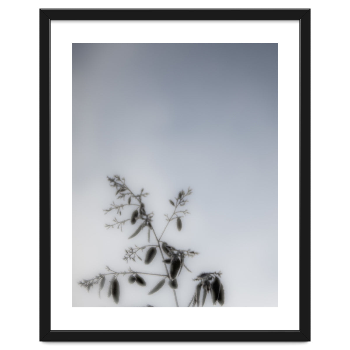 Forgotten Memories of Summer #17