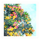 Summer Bougainvillea Watercolor Painting (Print Only) thumbnail