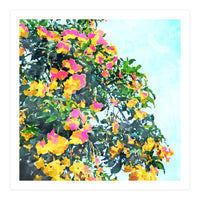 Summer Bougainvillea Watercolor Painting (Print Only)