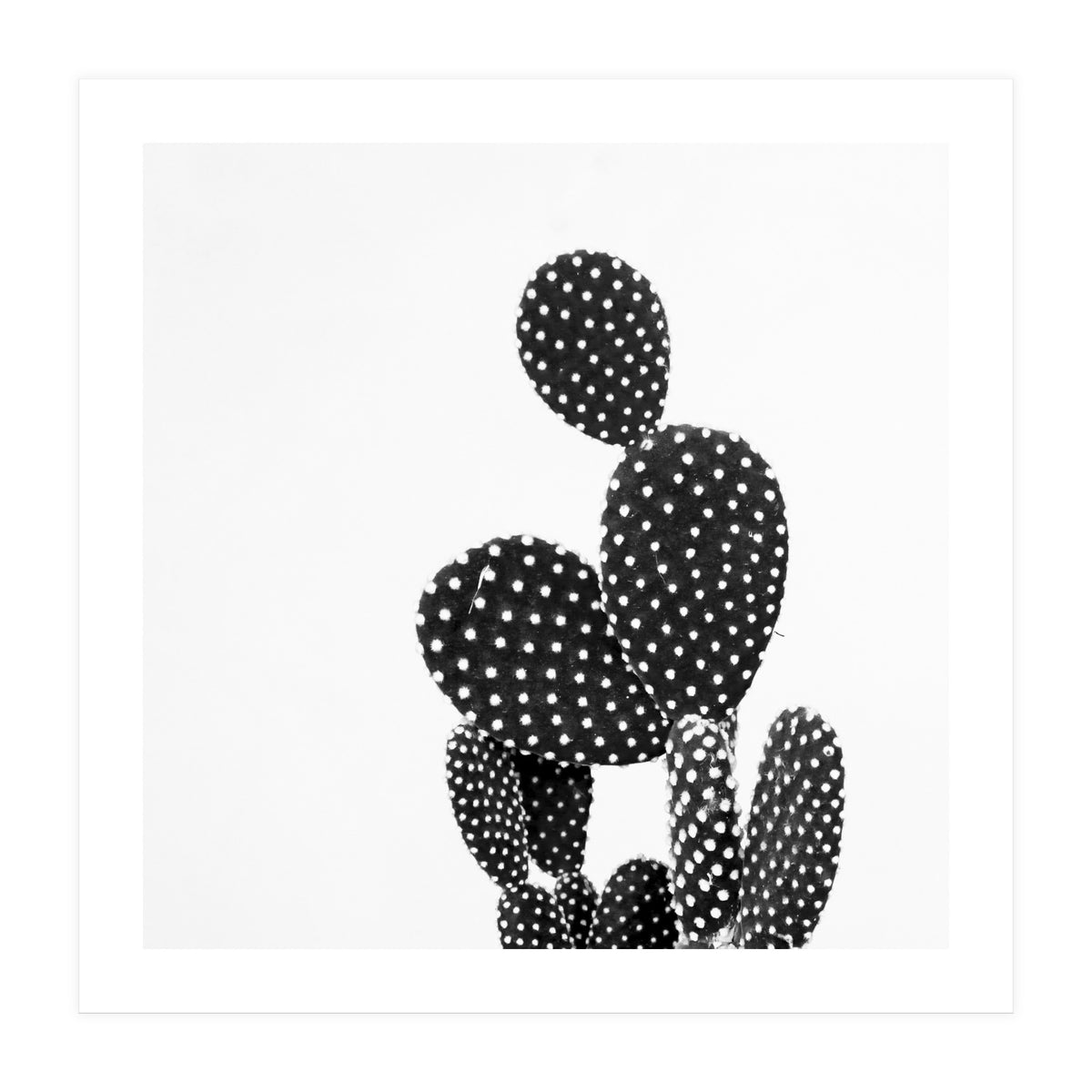 Cactus nature (Print Only)