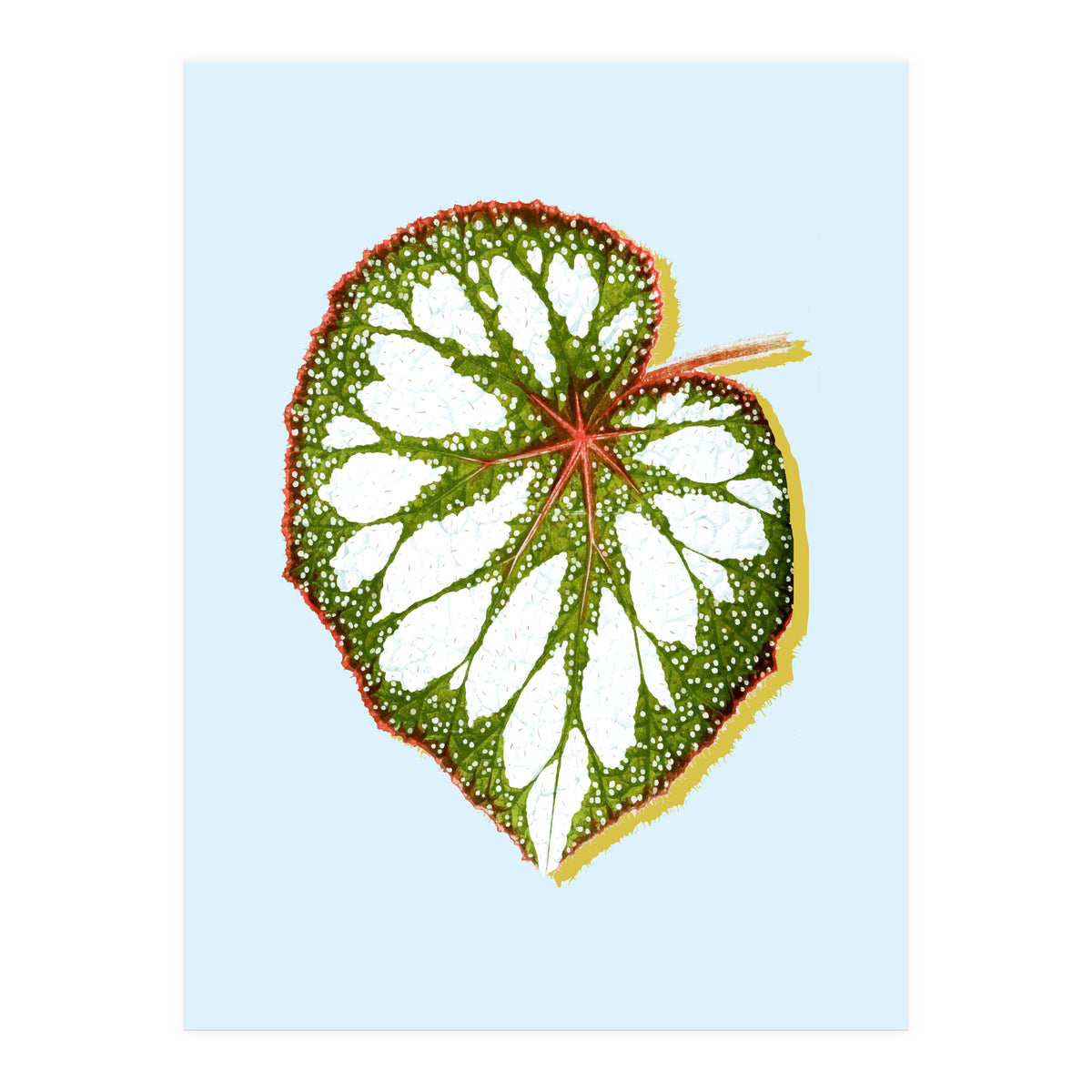 Prodigy (Print Only)