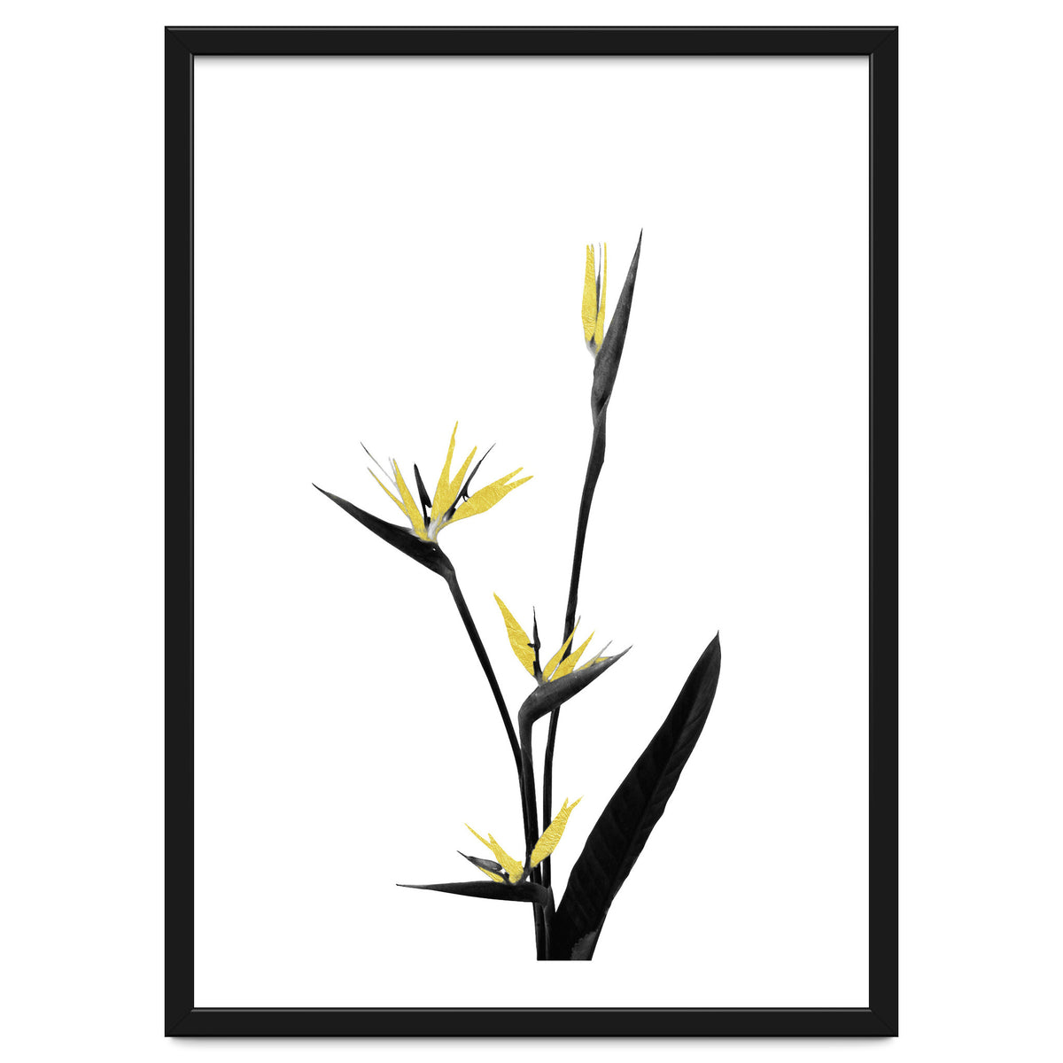 Flower Minimal Black And Gold 05