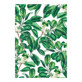 Botanica (Print Only) thumbnail