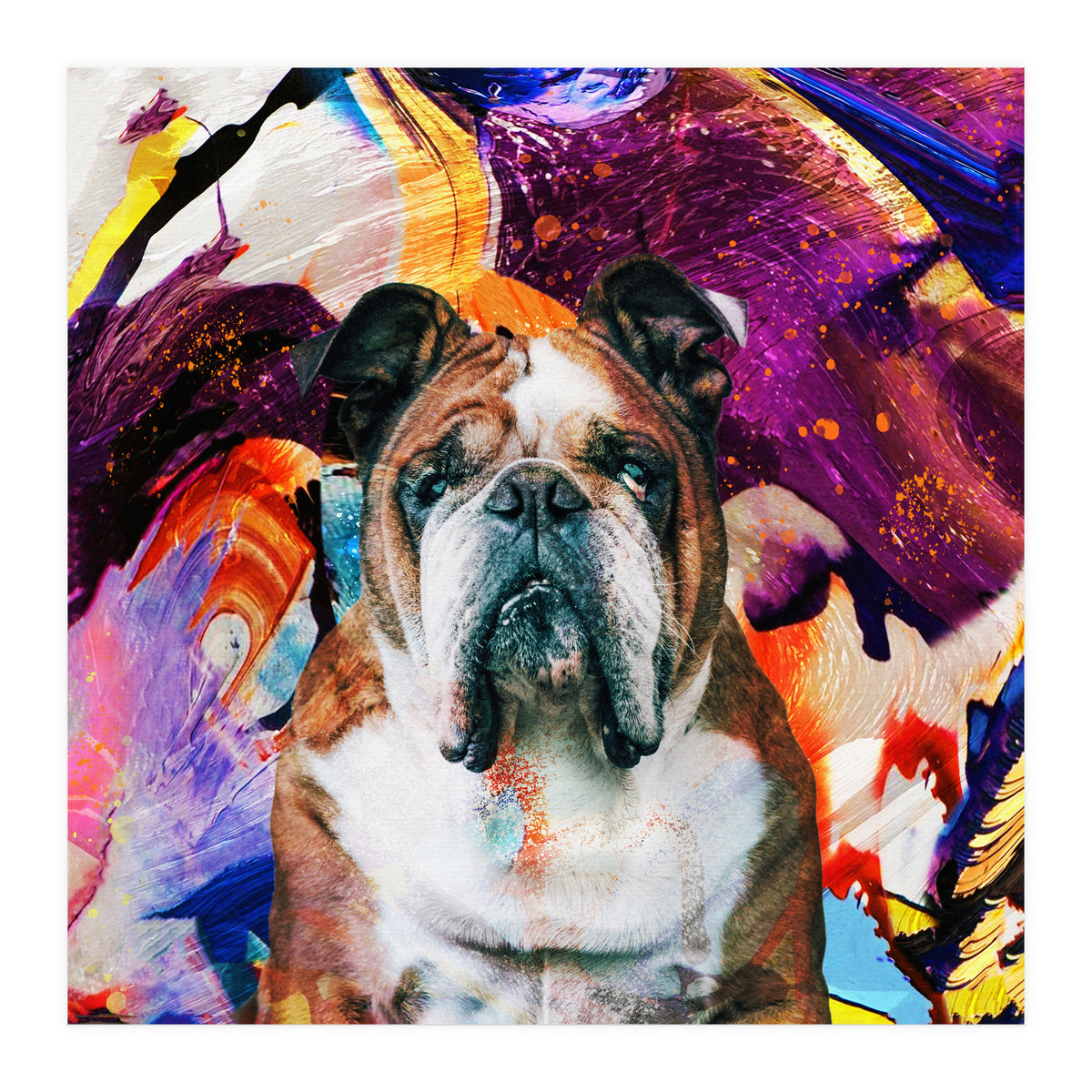 Zycko Color Dog 3 (Print Only)