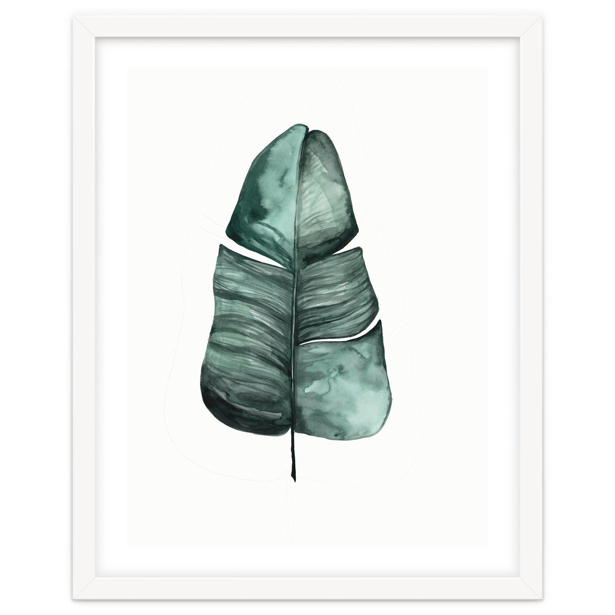 Botanical Illustration Banana Leaf