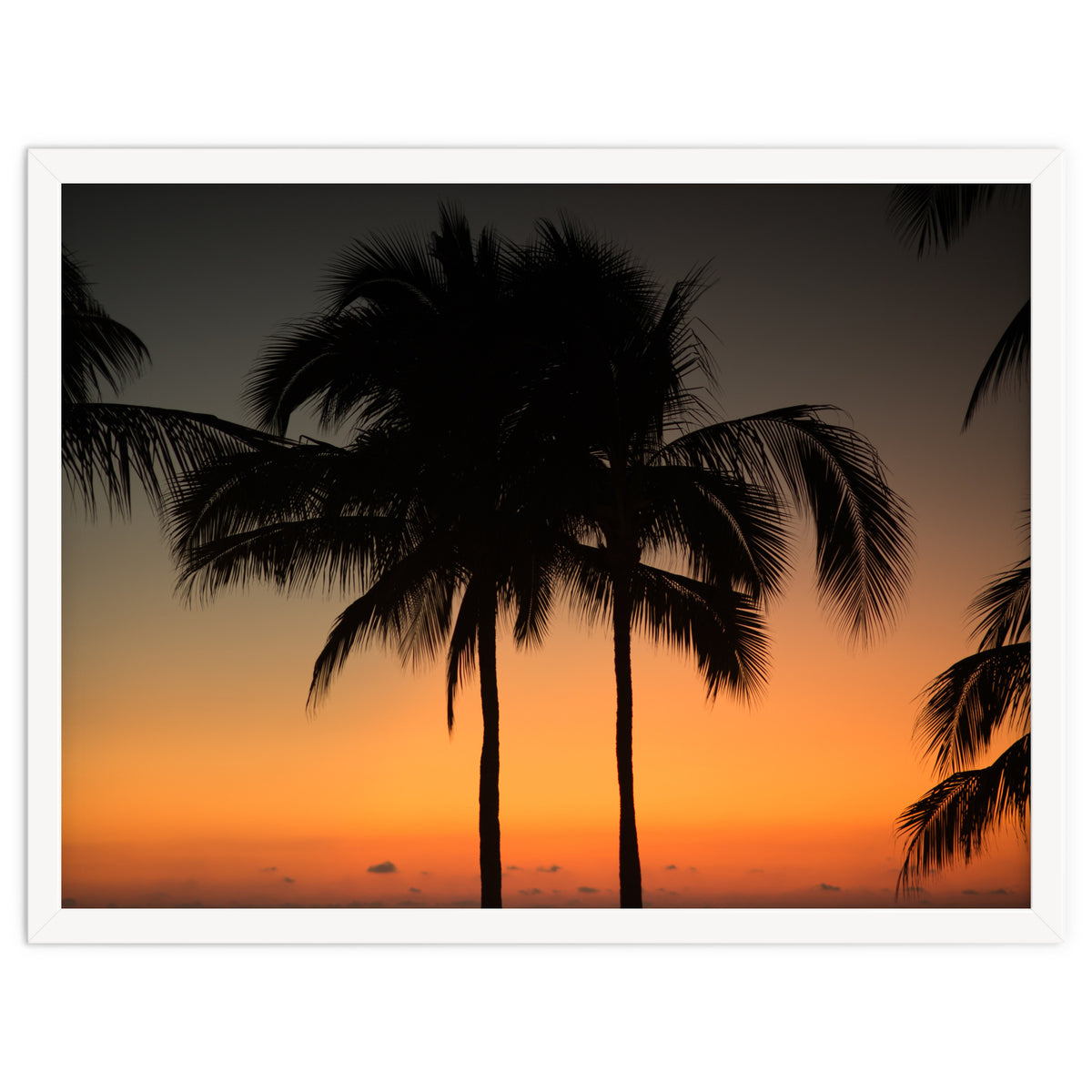 Mexico, November nights