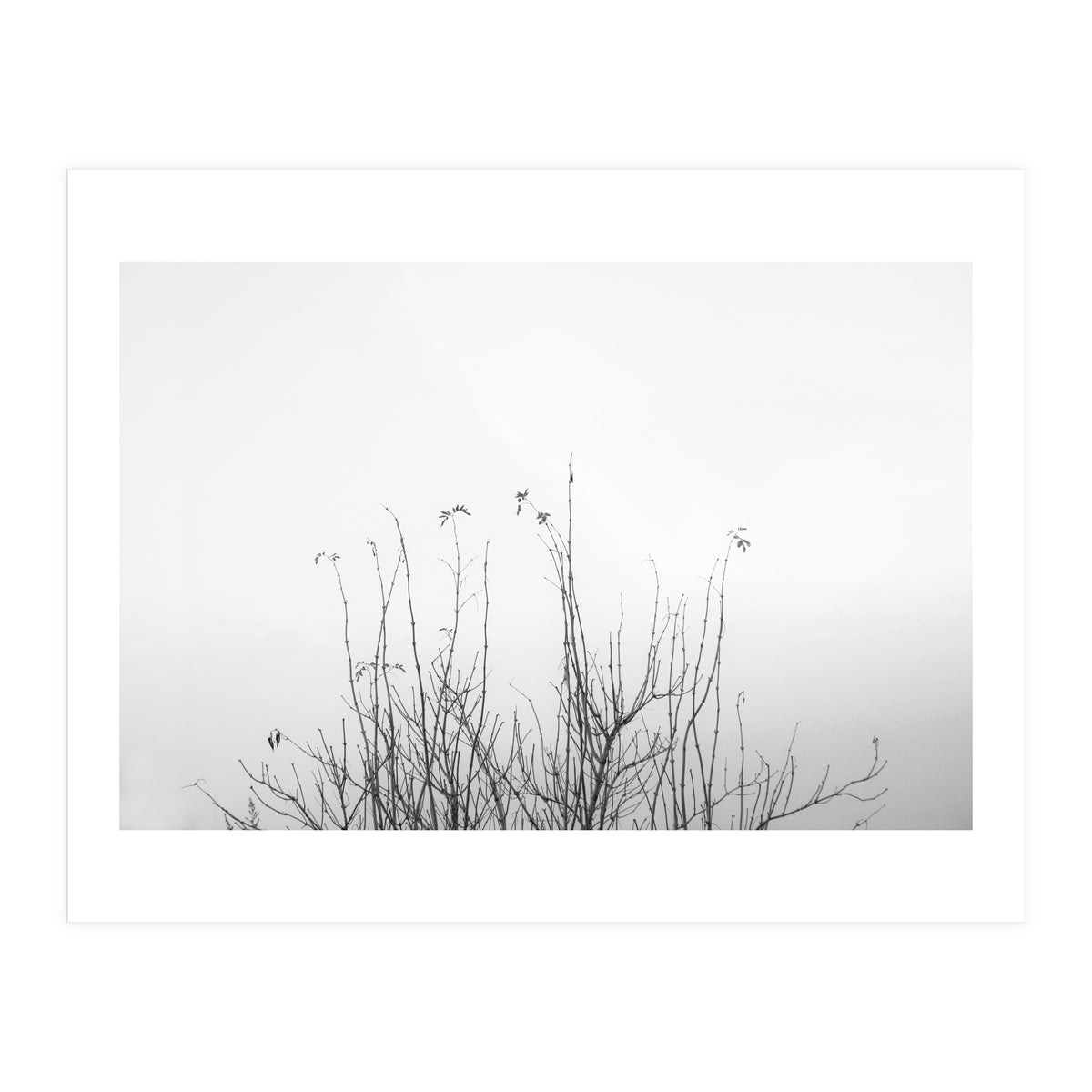 possibly (Print Only)