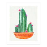 Tiny Cactus Blossoms (Print Only) thumbnail
