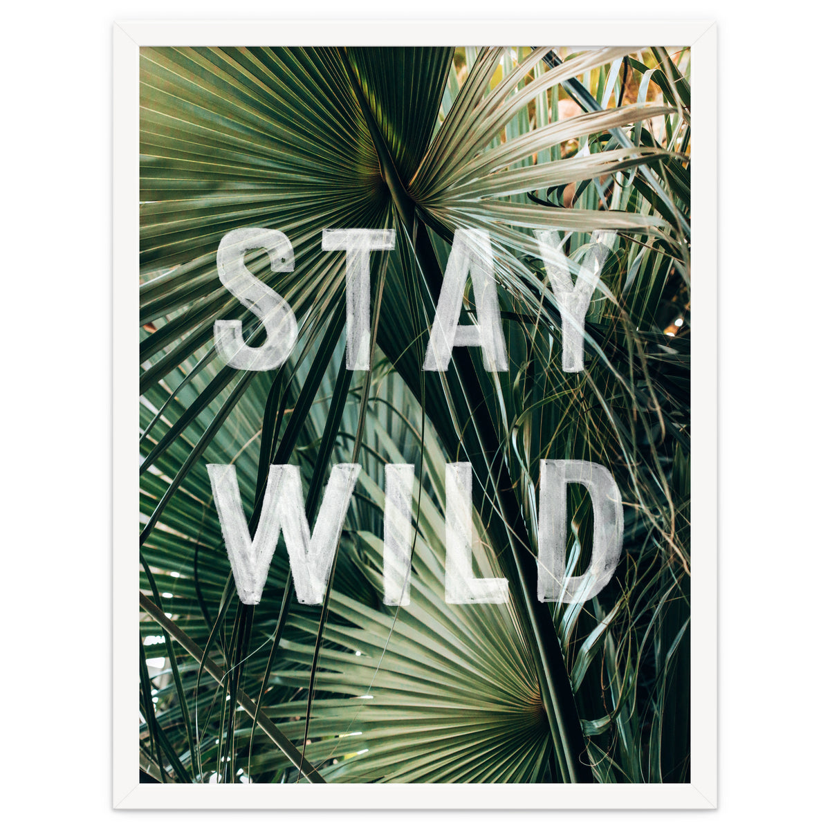 Stay Wild