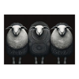 Fashion Sheep (Print Only) thumbnail