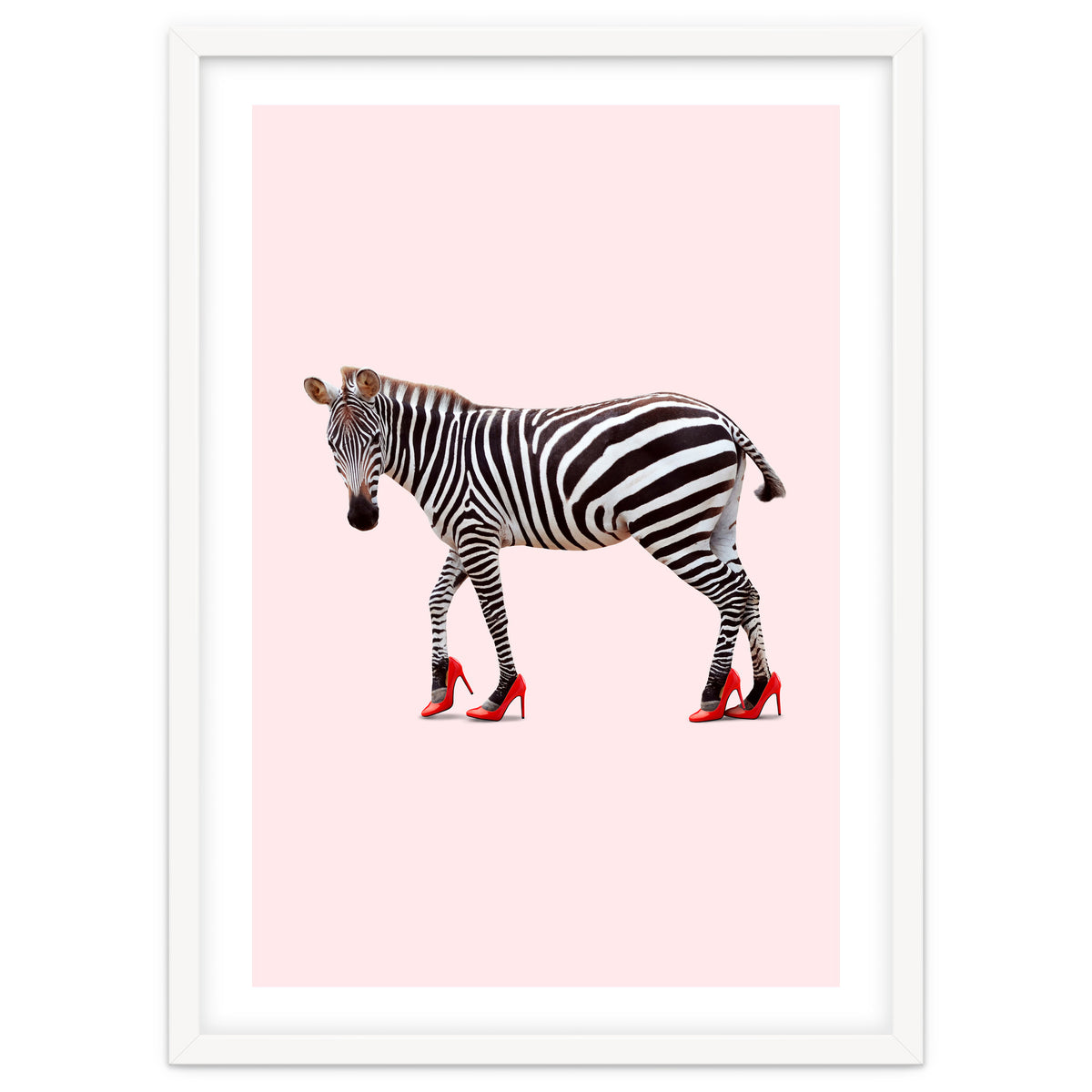 Zebra Heels