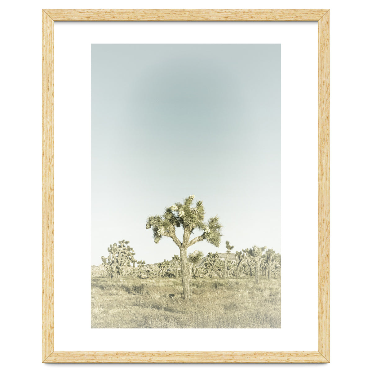 Vintage Joshua Tree