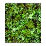 In Disguise (Print Only) thumbnail