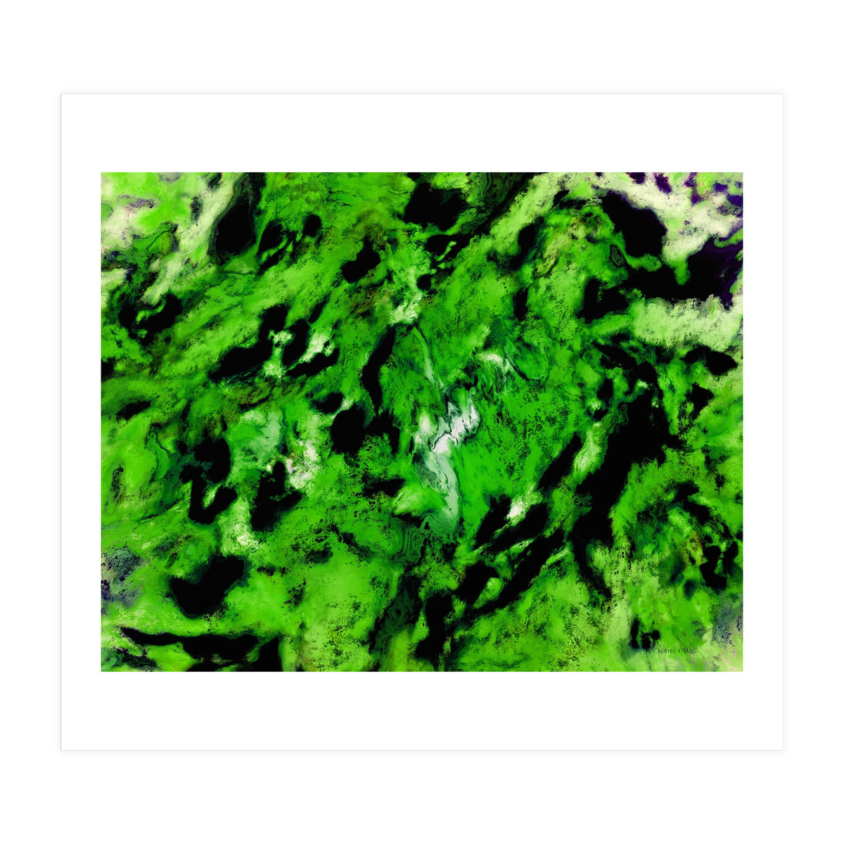 More Distinguishing Marks (Print Only)