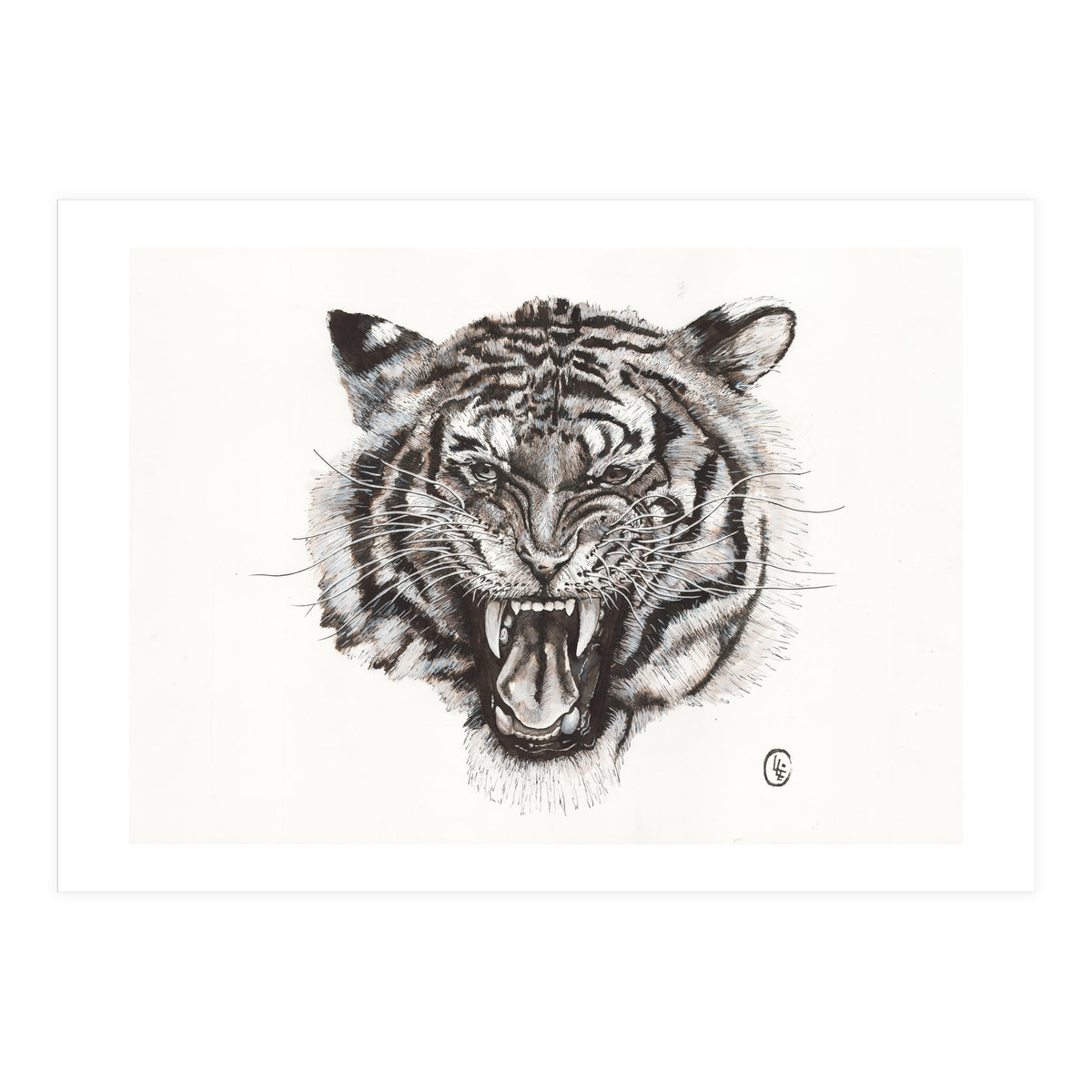 Tiger (Print Only)